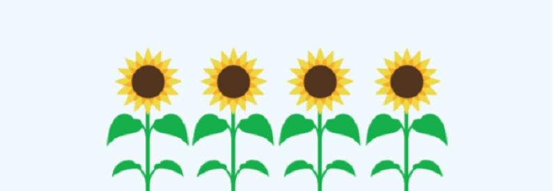 Spring DFM