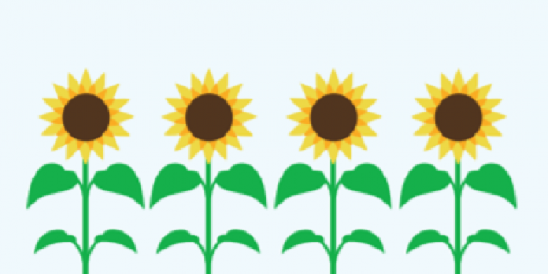 Spring DFM