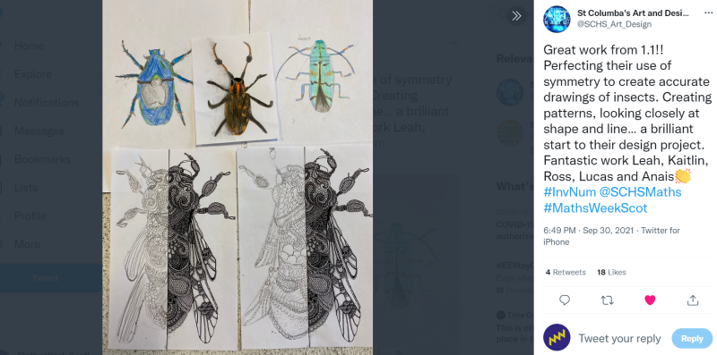 MWS school examples insect symmetry