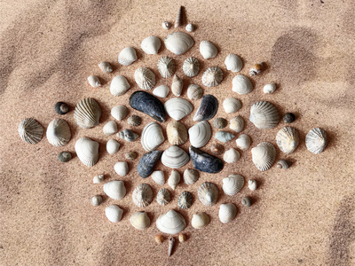 Shell Symmetry Art