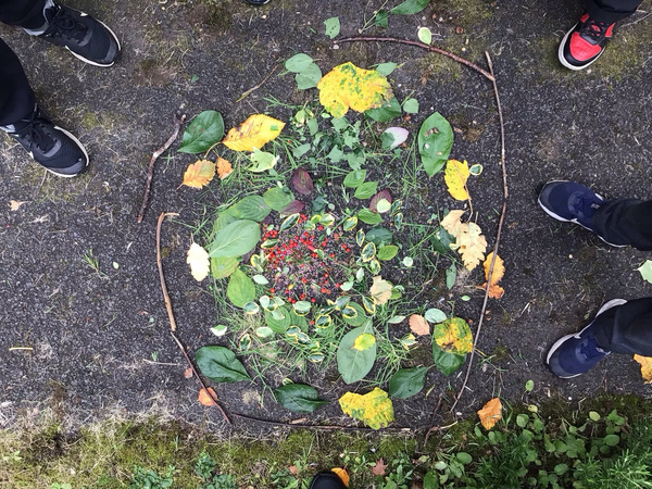 Wild Maths Highlights preview