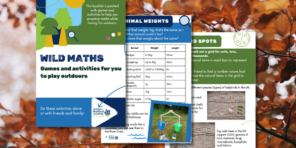 DGOWL Wild Maths Preview