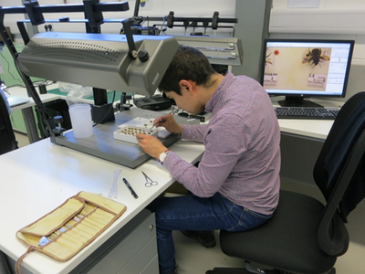 5 Specimen Prep