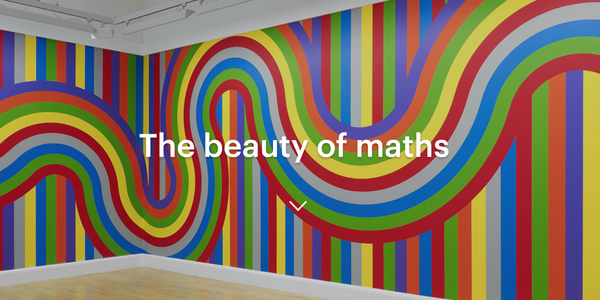 NGS the beauty of maths activity header
